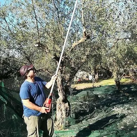Sparta Githion Politimi's Village House Διαμέρισμα *
